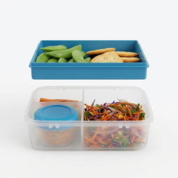 Addis Bento Lunchbox Food Container – 1.6 L