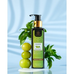 Aurasense Amla & Basil Sulphate-Free Hair Shampoo